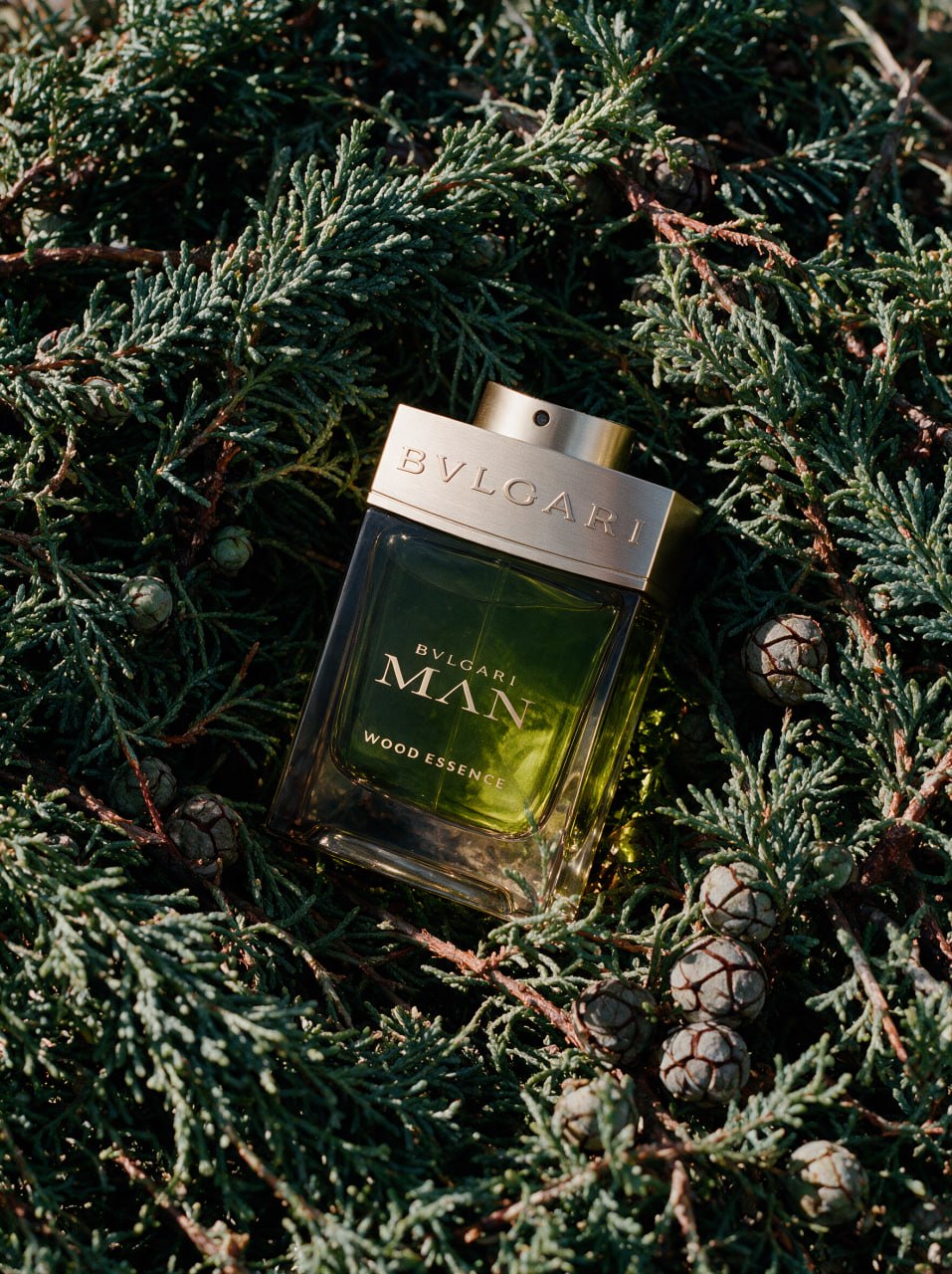 BVLGARI MAN – visual 4
