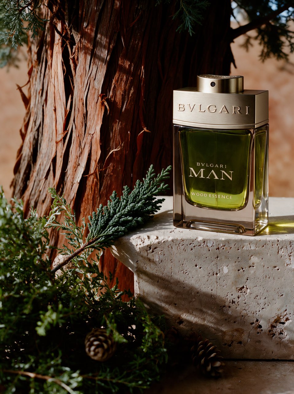 BVLGARI MAN – visual 6