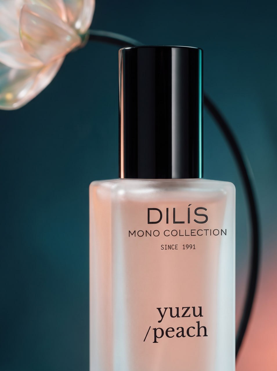 DILIS – Yuzu – visual 2